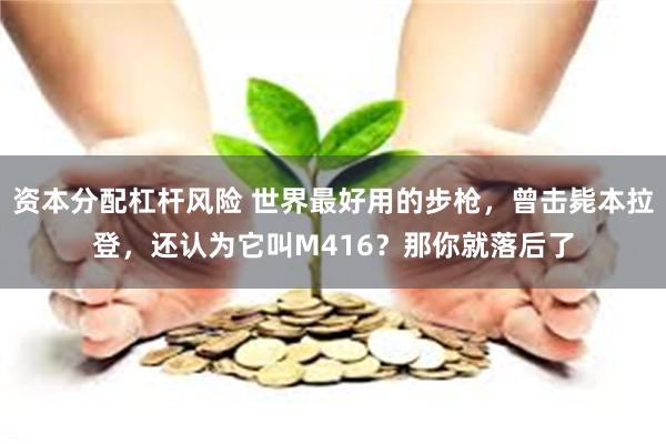 资本分配杠杆风险 世界最好用的步枪，曾击毙本拉登，还认为它叫M416？那你就落后了