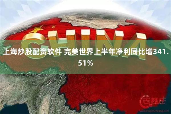 上海炒股配资软件 完美世界上半年净利同比增341.51%