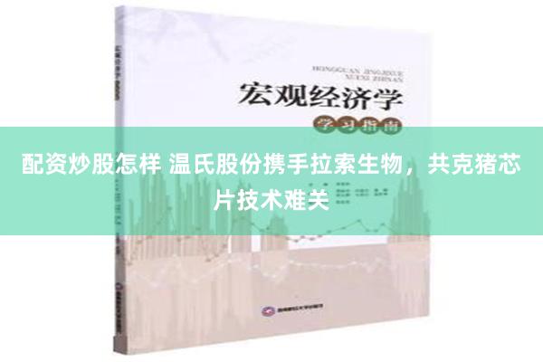 配资炒股怎样 温氏股份携手拉索生物，共克猪芯片技术难关