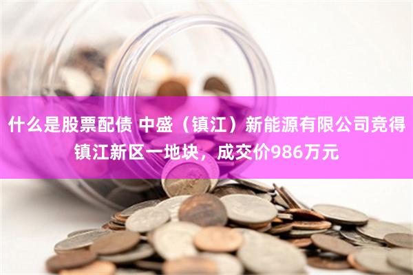 什么是股票配债 中盛（镇江）新能源有限公司竞得镇江新区一地块，成交价986万元