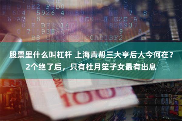 股票里什么叫杠杆 上海青帮三大亨后人今何在？2个绝了后，只有杜月笙子女最有出息