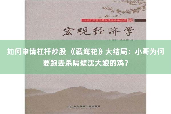 如何申请杠杆炒股 《藏海花》大结局：小哥为何要跑去杀隔壁沈大娘的鸡？