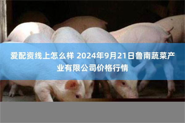 爱配资线上怎么样 2024年9月21日鲁南蔬菜产业有限公司价格行情
