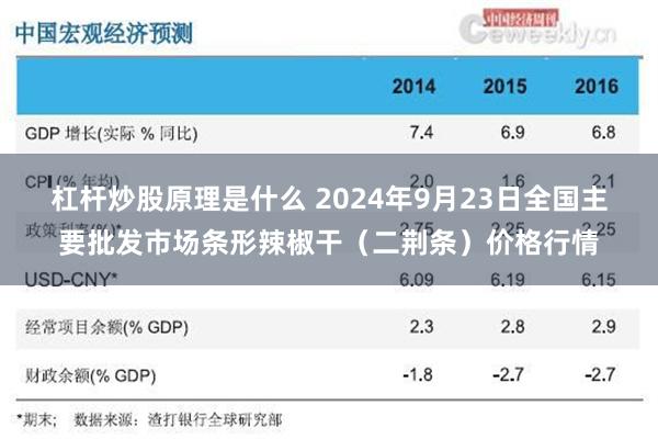 杠杆炒股原理是什么 2024年9月23日全国主要批发市场条形辣椒干（二荆条）价格行情