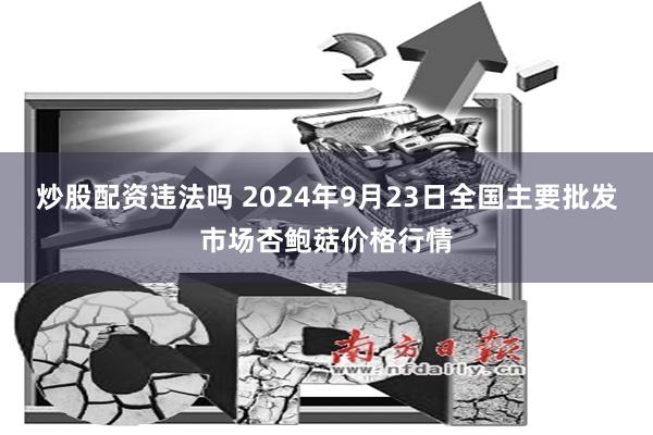 炒股配资违法吗 2024年9月23日全国主要批发市场杏鲍菇价格行情