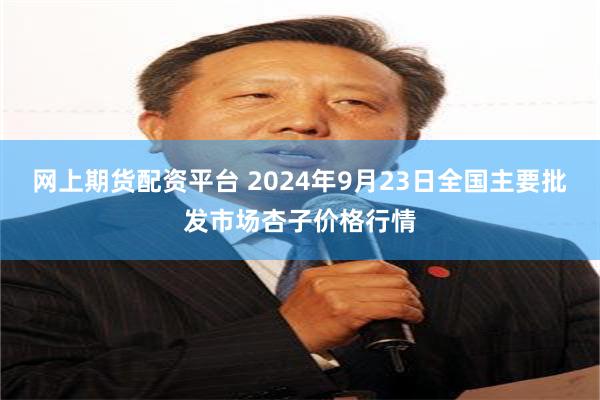 网上期货配资平台 2024年9月23日全国主要批发市场杏子价格行情