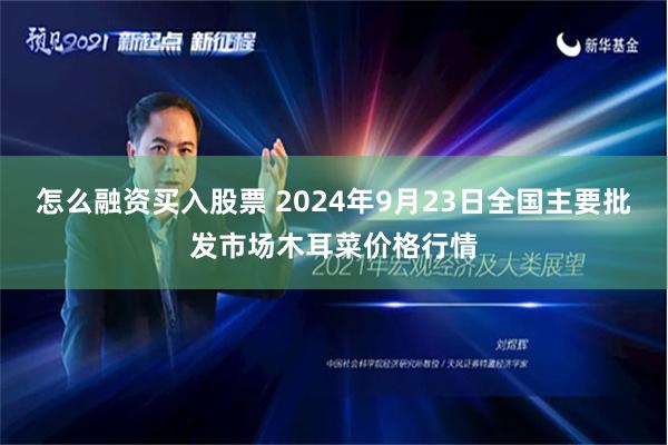怎么融资买入股票 2024年9月23日全国主要批发市场木耳菜价格行情