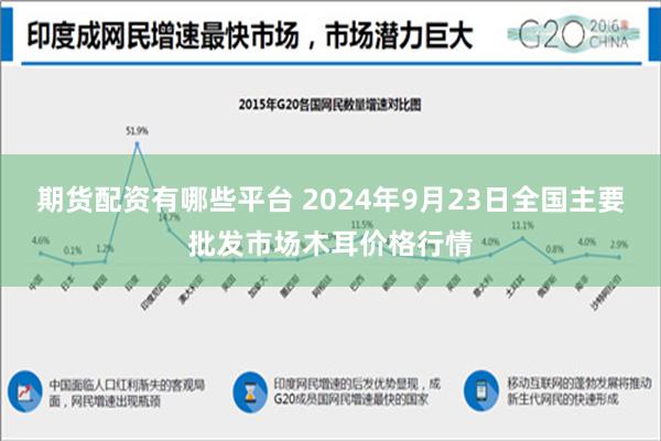 期货配资有哪些平台 2024年9月23日全国主要批发市场木耳价格行情