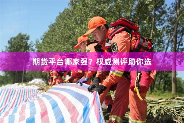 期货平台哪家强？权威测评助你选