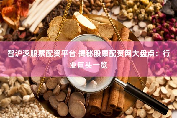 智沪深股票配资平台 揭秘股票配资网大盘点：行业巨头一览