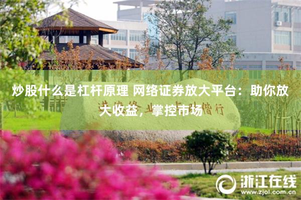 炒股什么是杠杆原理 网络证券放大平台：助你放大收益，掌控市场