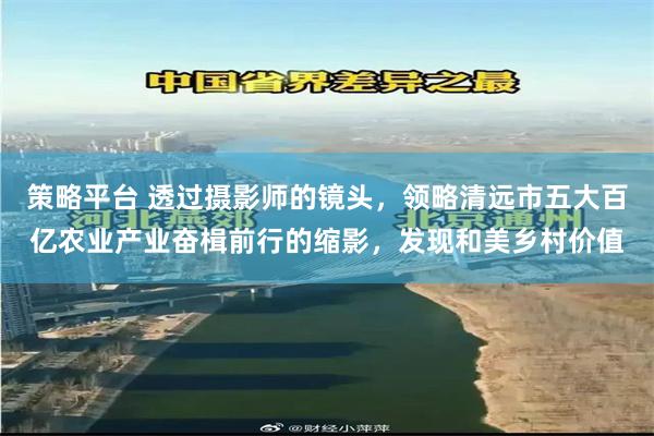 策略平台 透过摄影师的镜头，领略清远市五大百亿农业产业奋楫前行的缩影，发现和美乡村价值