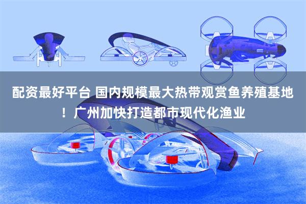 配资最好平台 国内规模最大热带观赏鱼养殖基地！广州加快打造都市现代化渔业