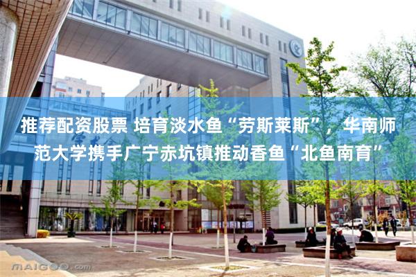 推荐配资股票 培育淡水鱼“劳斯莱斯”，华南师范大学携手广宁赤坑镇推动香鱼“北鱼南育”