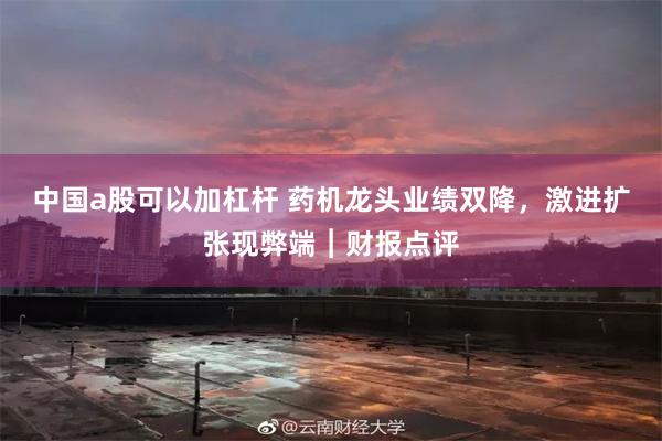中国a股可以加杠杆 药机龙头业绩双降，激进扩张现弊端︱财报点评