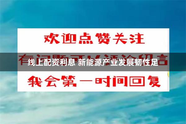 线上配资利息 新能源产业发展韧性足