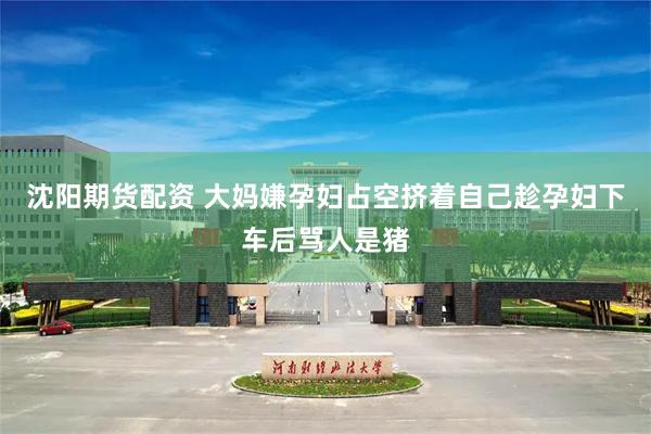 沈阳期货配资 大妈嫌孕妇占空挤着自己趁孕妇下车后骂人是猪