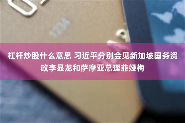 杠杆炒股什么意思 习近平分别会见新加坡国务资政李显龙和萨摩亚总理菲娅梅