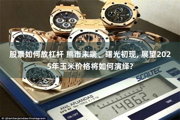 股票如何放杠杆 熊市末端、曙光初现, 展望2025年玉米价格将如何演绎?