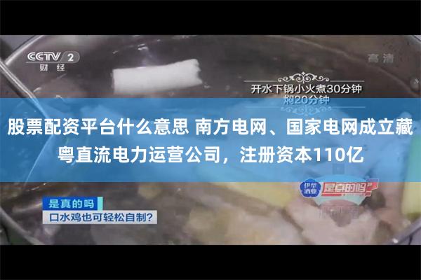 股票配资平台什么意思 南方电网、国家电网成立藏粤直流电力运营公司，注册资本110亿