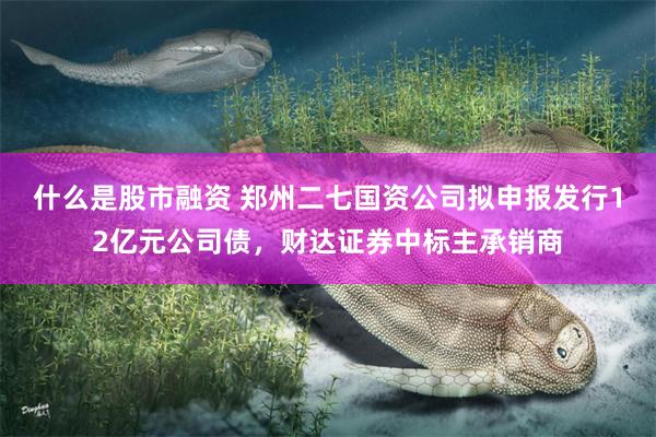 什么是股市融资 郑州二七国资公司拟申报发行12亿元公司债，财达证券中标主承销商