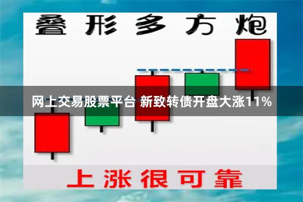 网上交易股票平台 新致转债开盘大涨11%