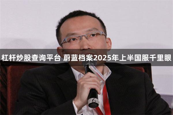 杠杆炒股查询平台 蔚蓝档案2025年上半国服千里眼