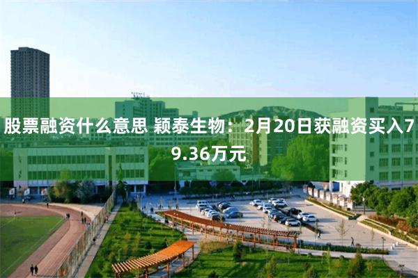 股票融资什么意思 颖泰生物：2月20日获融资买入79.36万元
