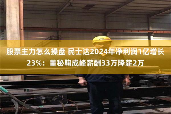 股票主力怎么操盘 民士达2024年净利润1亿增长23%：董秘鞠成峰薪酬33万降薪2万