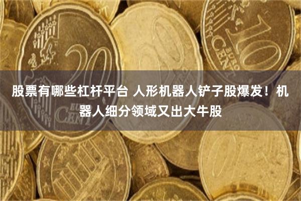 股票有哪些杠杆平台 人形机器人铲子股爆发！机器人细分领域又出大牛股