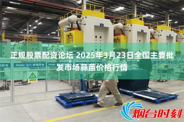 正规股票配资论坛 2025年3月23日全国主要批发市场蒜苗价格行情