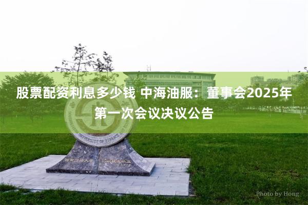 股票配资利息多少钱 中海油服：董事会2025年第一次会议决议公告