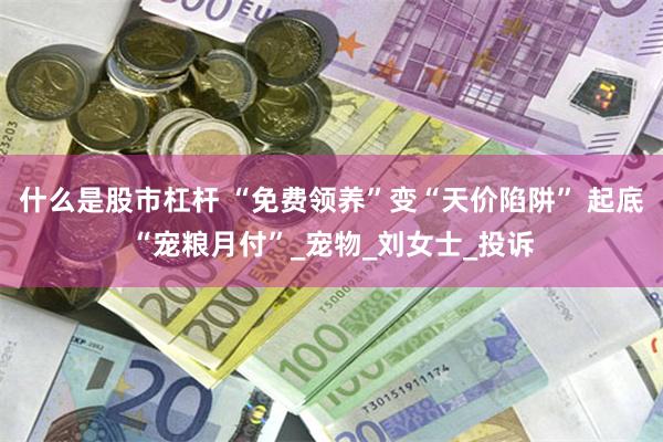 什么是股市杠杆 “免费领养”变“天价陷阱” 起底“宠粮月付”_宠物_刘女士_投诉