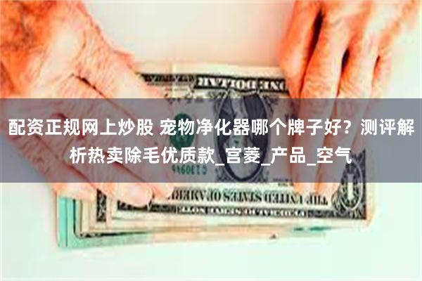 配资正规网上炒股 宠物净化器哪个牌子好？测评解析热卖除毛优质款_宫菱_产品_空气