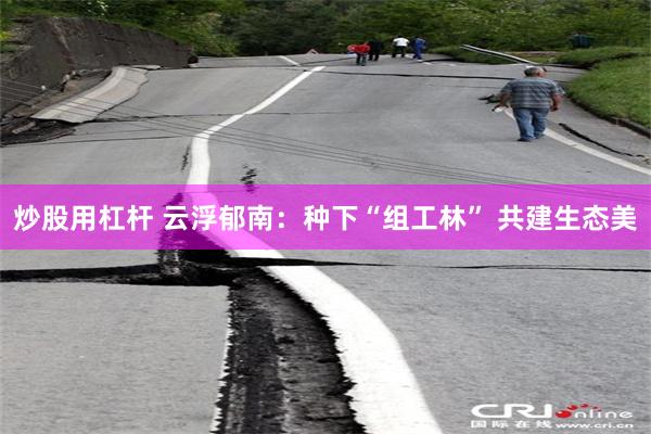 炒股用杠杆 云浮郁南：种下“组工林” 共建生态美