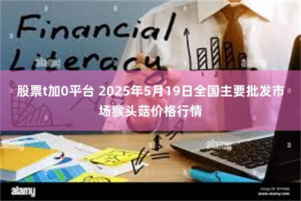 股票t加0平台 2025年5月19日全国主要批发市场猴头菇价格行情