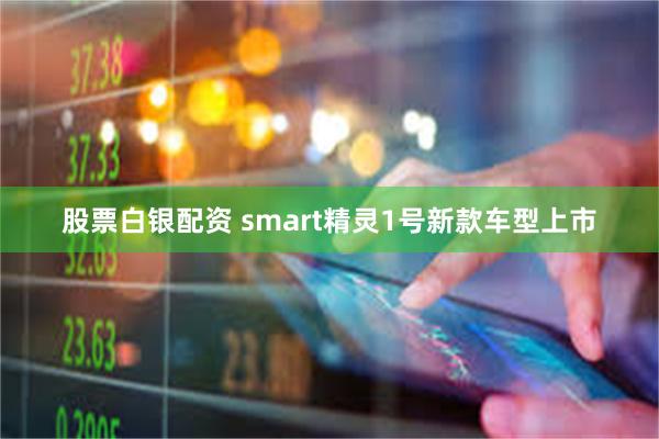 股票白银配资 smart精灵1号新款车型上市