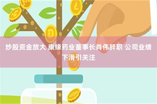 炒股资金放大 康缘药业董事长肖伟辞职 公司业绩下滑引关注
