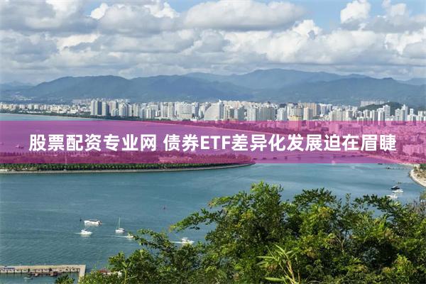 股票配资专业网 债券ETF差异化发展迫在眉睫