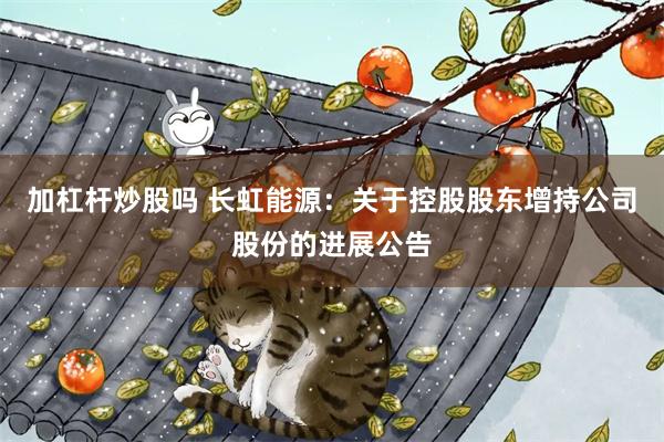 加杠杆炒股吗 长虹能源：关于控股股东增持公司股份的进展公告