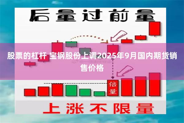 股票的杠杆 宝钢股份上调2025年9月国内期货销售价格